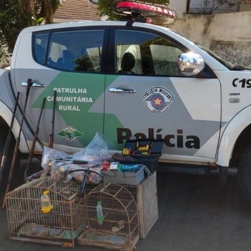 Policia Ambiental