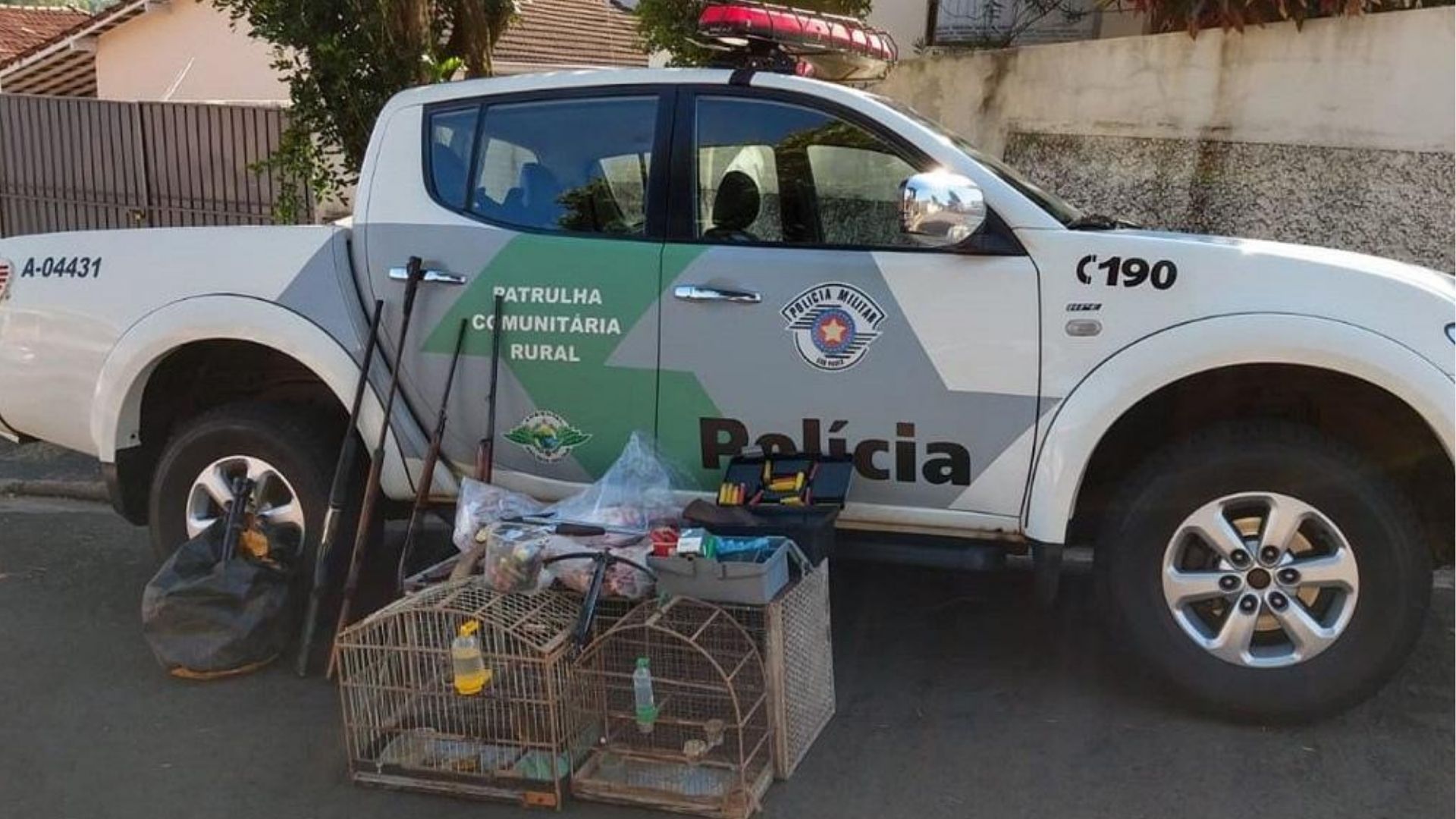 Policia Ambiental